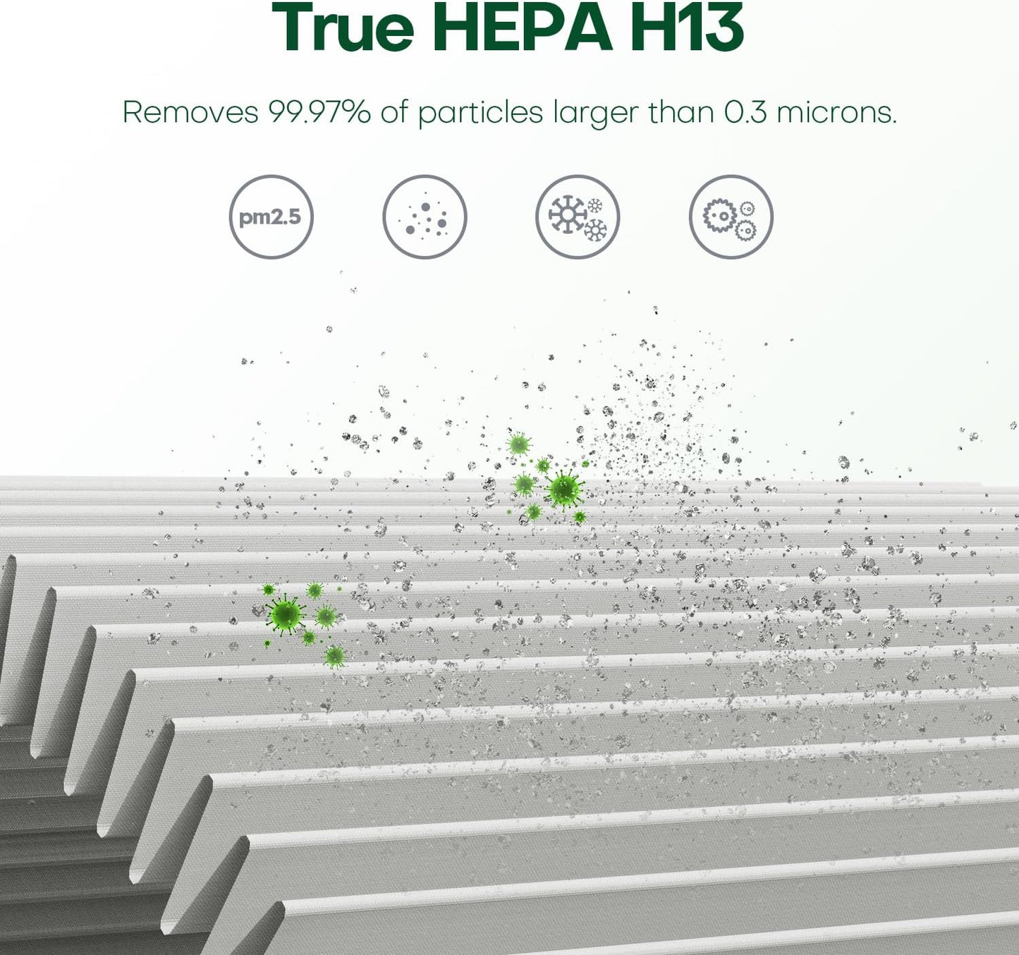 Rezervă Filtru HEPA AERIFY®