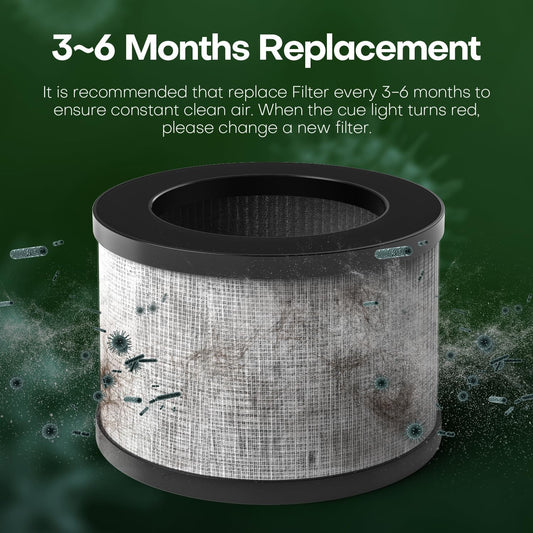 Rezervă Filtru HEPA AERIFY®